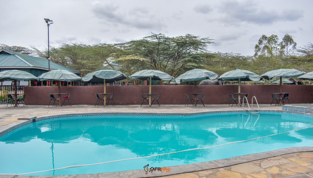 Swimming-Entarakuet-hotel-safiri-nasi